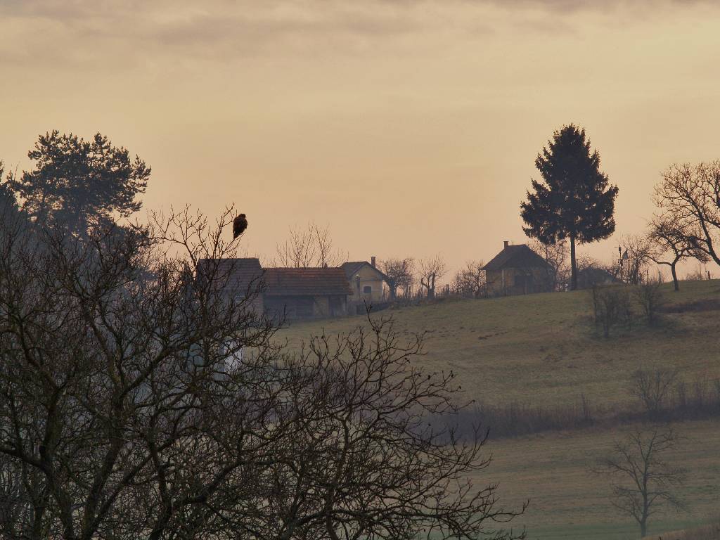 Izložba dr. Kekelja